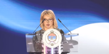 TRIŠIĆ BABIĆ: Rešenje je povratak na izvorni Dejton