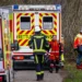 Tragedija u Nemačkoj: Drvo palo i usmrtilo majku, bebu i devojčicu