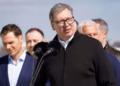 VUČIĆ OGORČEN: Sram vas bilo, Đokiću i Sinani – više ste žalili psa nego Milicu Živković