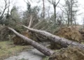 Hrvatska upozorava na ozbiljne vremenske nepogode: Moguće poplave i oštećenja imovine