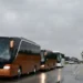 Dalibor Marković Palma organizovao putovanje 550 poljoprivrednika iz Jagodine na Međunarodni sajam poljoprivrede u Novom Sadu