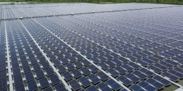Linglong započinje izgradnju solarne elektrane snage 40 megavata u Zrenjaninu