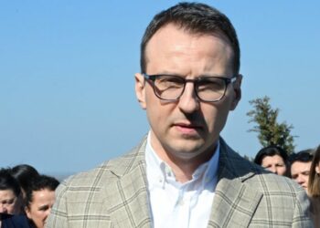 Petković: Ponoš se protivi priznanju Vučića od Sija, ističe mogućnost Kurtijevog odlikovanja