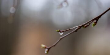 Meteorološko izveštavanje: Kiša, grad i olujni vetrovi očekuju se tokom današnje poslepodne