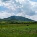 Zašto je Vojvodina izgubila status ‘žitnice Evrope’?