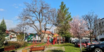 Suzbijanje krpelja u Požarevcu: Akcija na terenu