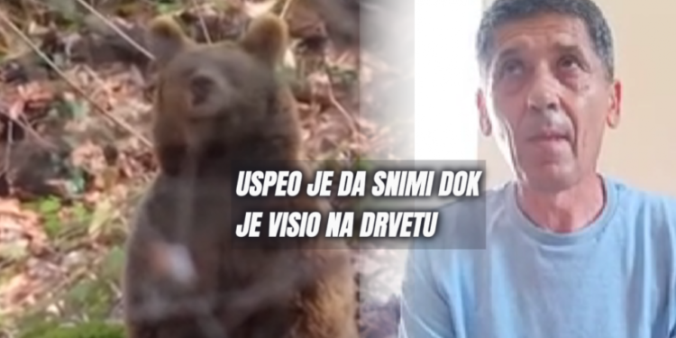 Pecaroš iz Srbije pobegao na drvo od medveda tokom ribolova