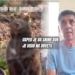 Pecaroš iz Srbije pobegao na drvo od medveda tokom ribolova