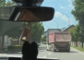 Snimak iz Hrvatske: devojke se protive ulasku u autobus
