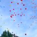 Požarevac: Oproštaj predškolaca od vrtićkog obrazovanja