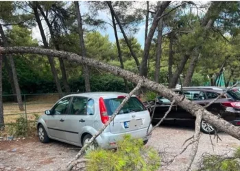 Snažno nevreme u Podgorici: Vetar oborio drveće nakon talasa ekstremne vrućine (FOTO)