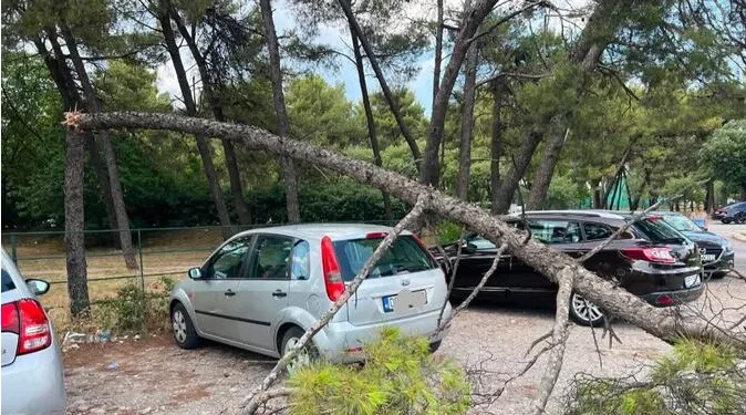 Snažno nevreme u Podgorici: Vetar oborio drveće nakon talasa ekstremne vrućine (FOTO)