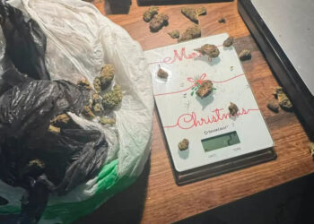 Uhapšen niški muzičar i tatu majstor: Policija zaplenila kokain u vrednosti od 50.000 evra