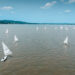 Regata „Vode Vojvodine“ počinje 24. juna iz Novog Sada: Velika avantura na Dunavu