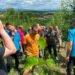 Kako letnja rezidba može poboljšati prinos voćnjaka: Saveti za voćare