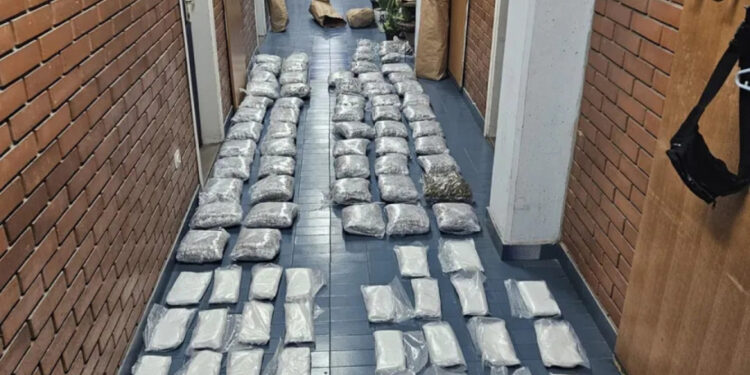 Policija u Novom Sadu razbila ilegalni narko-pogon: Zaplenjeno 107 kilograma droge