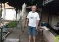 Dragan upecao soma težine 17,5 kilograma u Zapadnoj Moravi: Rekordan ulov u Čačku
