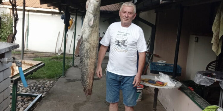 Dragan upecao soma težine 17,5 kilograma u Zapadnoj Moravi: Rekordan ulov u Čačku