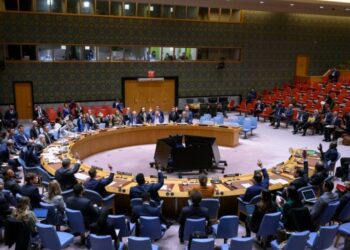 NY: Odluke o novim članovima Saveta bezbednosti UN do 2028. godine