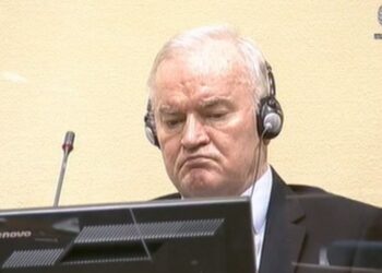 Sin Ratka Mladića komentariše pitanje lečenja na sednici SB UN 12. juna