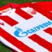 Fudbaler Crvene zvezde u centru skandala na Svetskom prvenstvu: Šta je izazvalo polemiku?