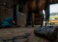Veterinar poginuo tokom pregleda kobile na imanju: Detalji tragičnog incidenta