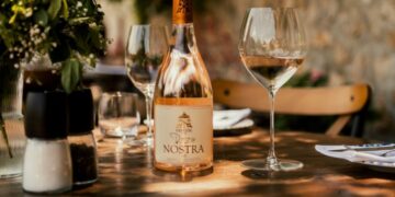 Vinarija Erdevik i Fruška Gora: Idealne Lokacije za Uzgoj Šardone Grožđa