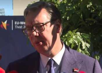 Potvrđeno: Vučićeve tvrdnje o angažovanju na gašenju požara u Crnoj Gori