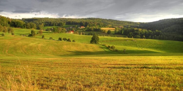 Ključni faktori koje treba uzeti u obzir prilikom kupovine placa