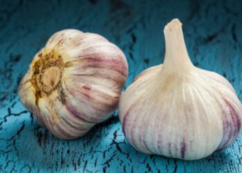 Sprej od luka i bibera: Prirodni začin za unapređenje gastronomskih jela