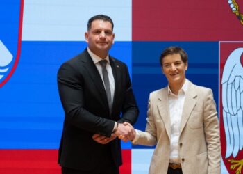 Brnabić i Stevanović razgovarali o unapređenju bilateralnih odnosa Srbije i Slovenije u regionu