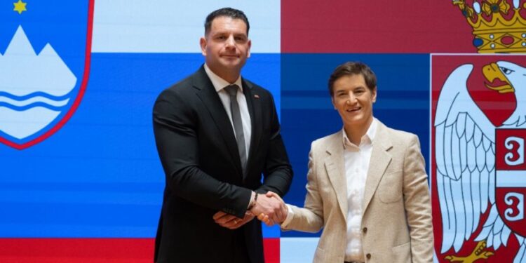 Brnabić i Stevanović razgovarali o unapređenju bilateralnih odnosa Srbije i Slovenije u regionu