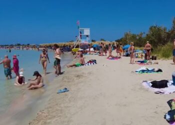 Oprez za Turiste u Grčkoj: Opasna Riba U Kojoj Treba Izbeći Kontakt kako bi se Sačuvao Zdravlje