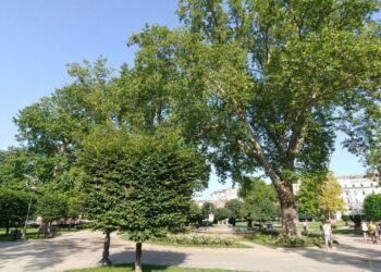 Srbija pod vrućinama do 37 stepeni, ali donosi se osveženje: ključni datumi u junu