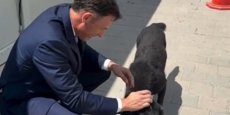 Mališani se zabavljaju s kućicama u kampu u Surčinu
