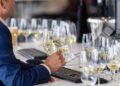 Srpska vina beleže istorijski uspeh na Decanter World Wine Awards