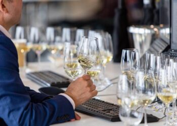 Srpska vina beleže istorijski uspeh na Decanter World Wine Awards