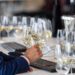 Srpska vina beleže istorijski uspeh na Decanter World Wine Awards