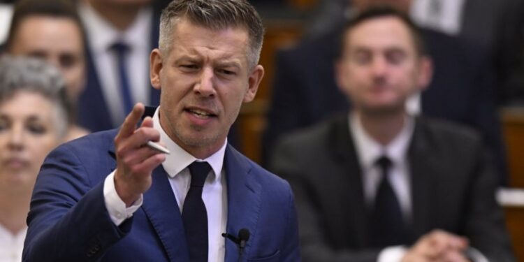Mađarski političar pokreće proceduru za smenu predsednika Šuljoka