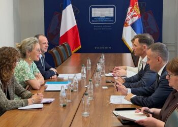 Ekonomska saradnja Srbije i Francuske tema razgovora Siniše Malog sa ambasadorkom