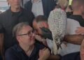 Kraljevi sokolari iz Oplanića predstavili ženu arktičkog sokola Vučiću