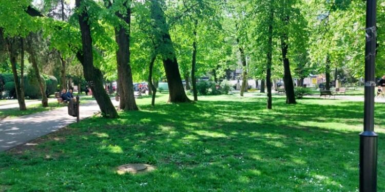 Niske koncentracije polena zabeležene u vazduhu: Uticaj na zdravlje i životnu sredinu