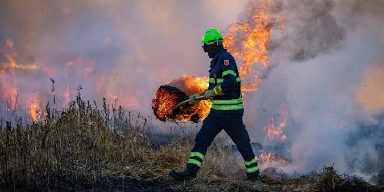 Apel iz Požarevca protiv paljenja vatre na otvorenom prostoru
