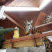Zoo vrt Palić obeležava 20 godina zaštite povređenih divljih životinja