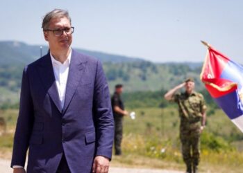 Vučić demantovao tvrdnje o obezbeđenju Radoičića i Veselinovića