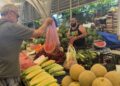 Ponuda sezonskog voća i povrća na tržnicama: bogate tezge lubenica