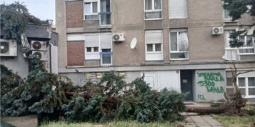 Oluja pogodila Loznicu: obrušila stabla i oštetila krovove