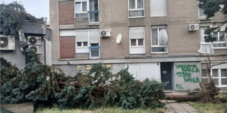 Oluja pogodila Loznicu: obrušila stabla i oštetila krovove