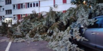 Nevreme u Loznici i Ljuboviji prouzrokovalo lomljenje krova i drveća