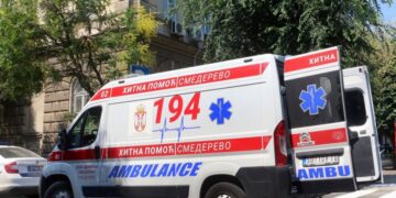 Stradanje muškarca koji je pokušao da pomogne porodilji od osa